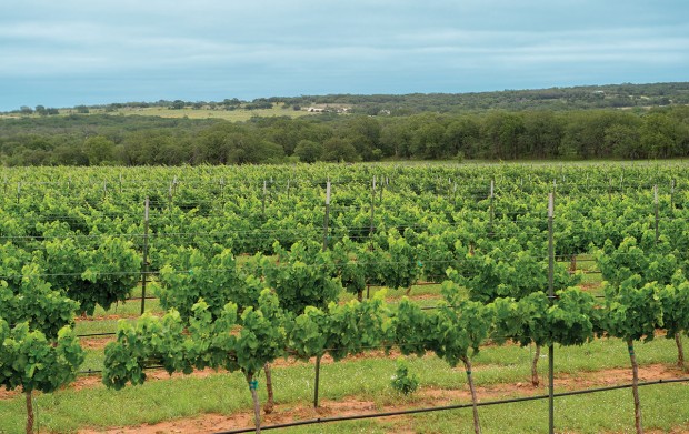 Texas Hill Country