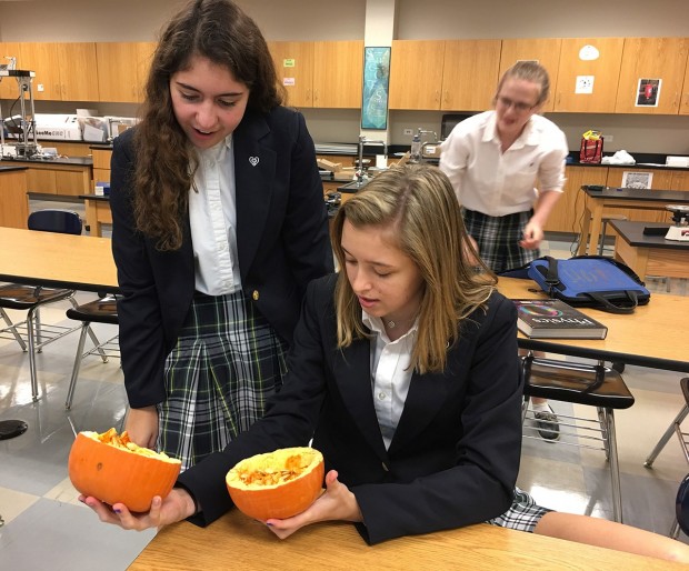 Pumpkin experiment