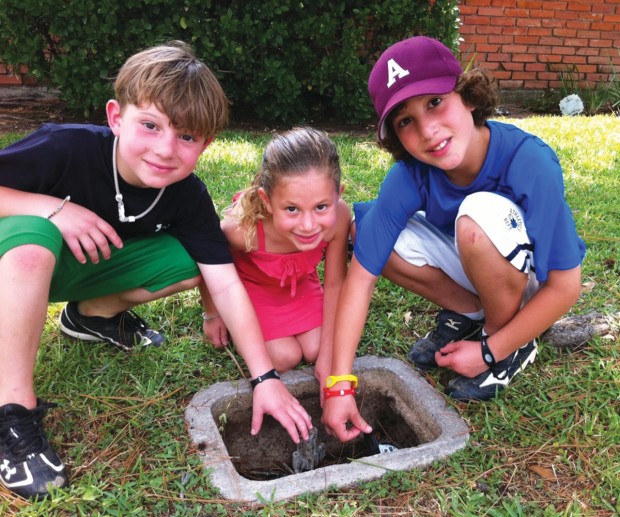 Aaron Berry, Willa Berry, Peter Berry