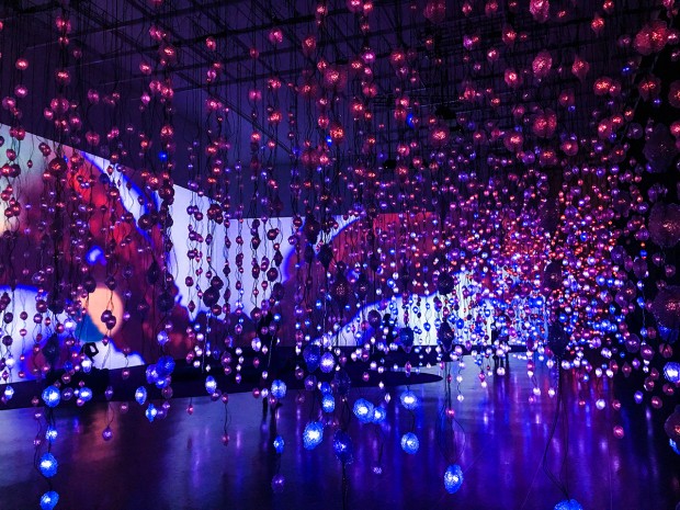 “Pixel Forest and Worry Will Vanish” by Pipilotti Rist 