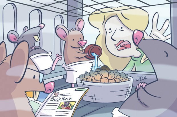 Rats Rats