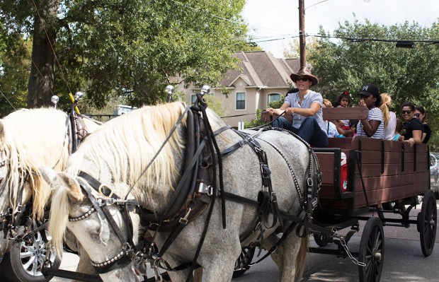 Carriage rides