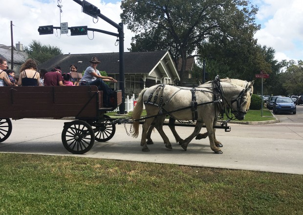 Carriage rides