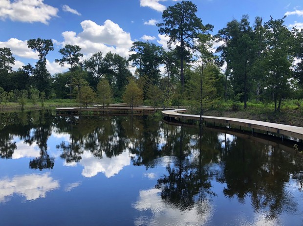 Pond Pond