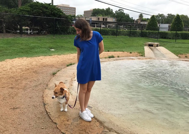 Danny Jackson Family Dog Park Danny Jackson Family Dog Park
