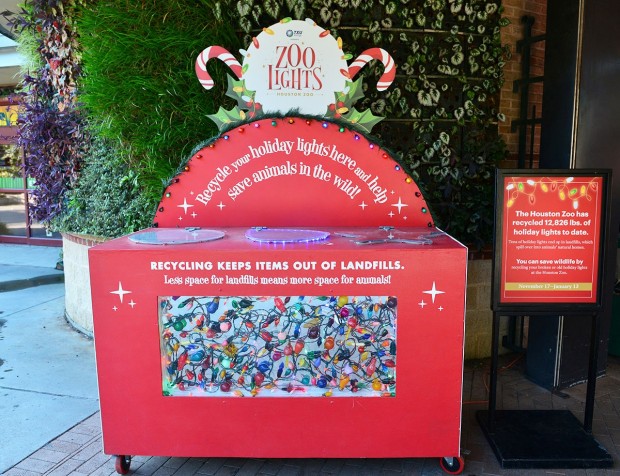 Christmas light recycling at Houston Zoo