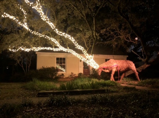 Reindeer at night