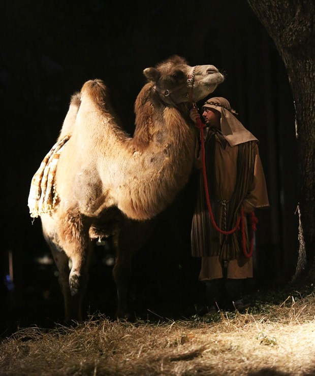 Confessions of a Live Nativity Shepherd: Memories from ‘Christmas Alive