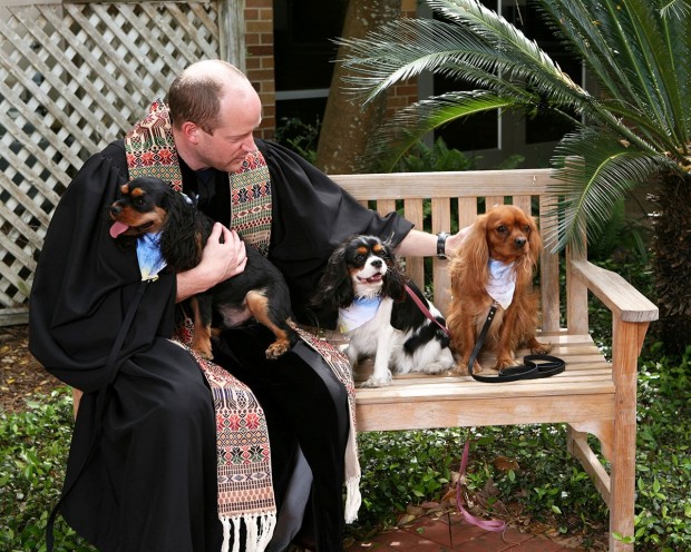 Evelyn's BARK and Blessing of the Animals