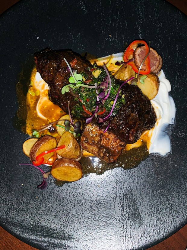 Bison short rib