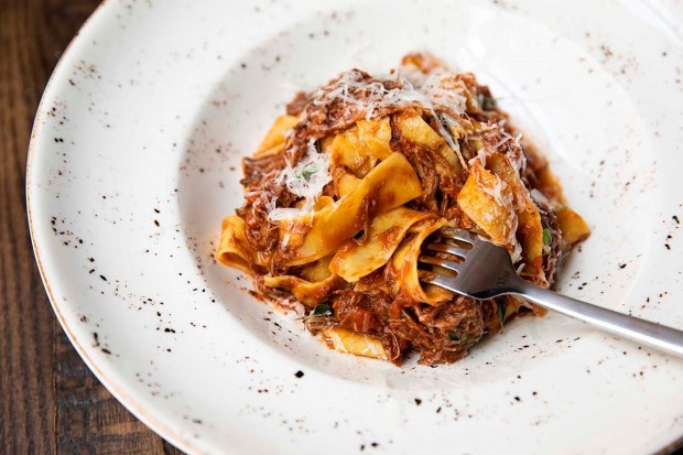 Short Rib Ragu Pappardelle