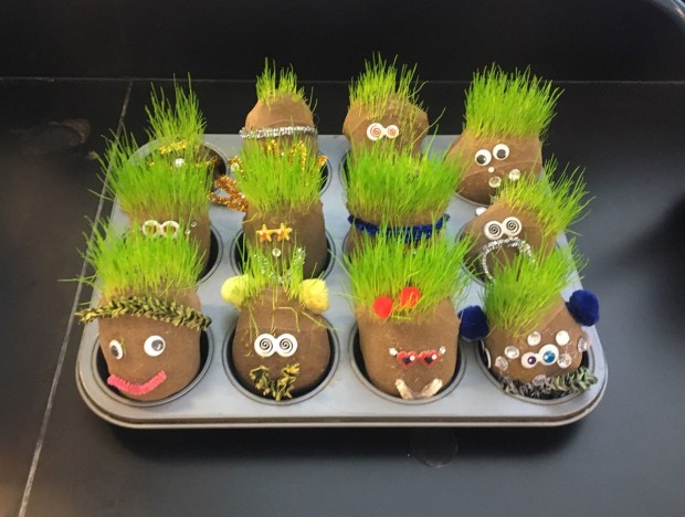 Chia pets Chia pets