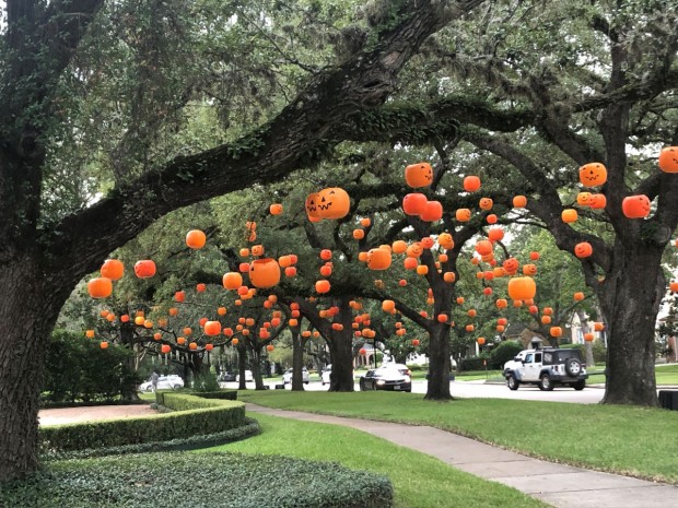 Hanging pumpkins