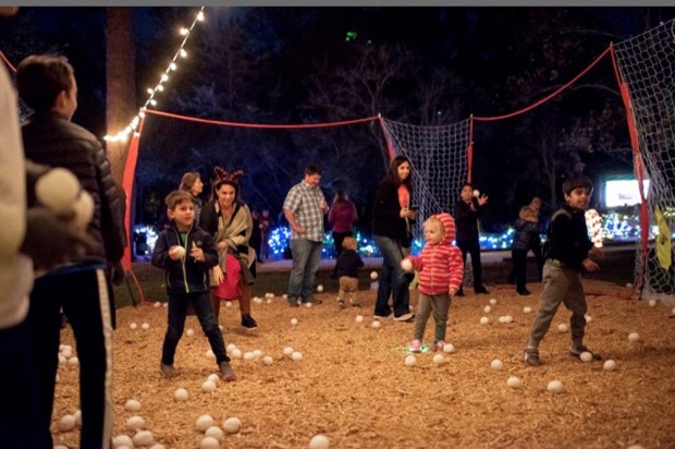 Snow at Bayou Bend