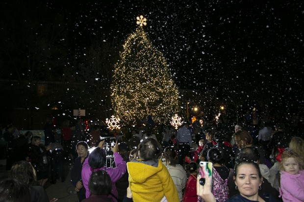 West University Christmas Tree