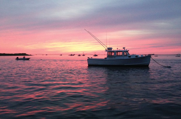 fishing at dawn