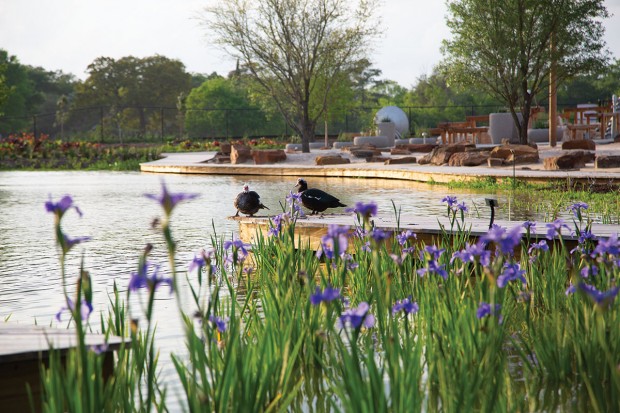 Susan Garver Family Discovery Garden