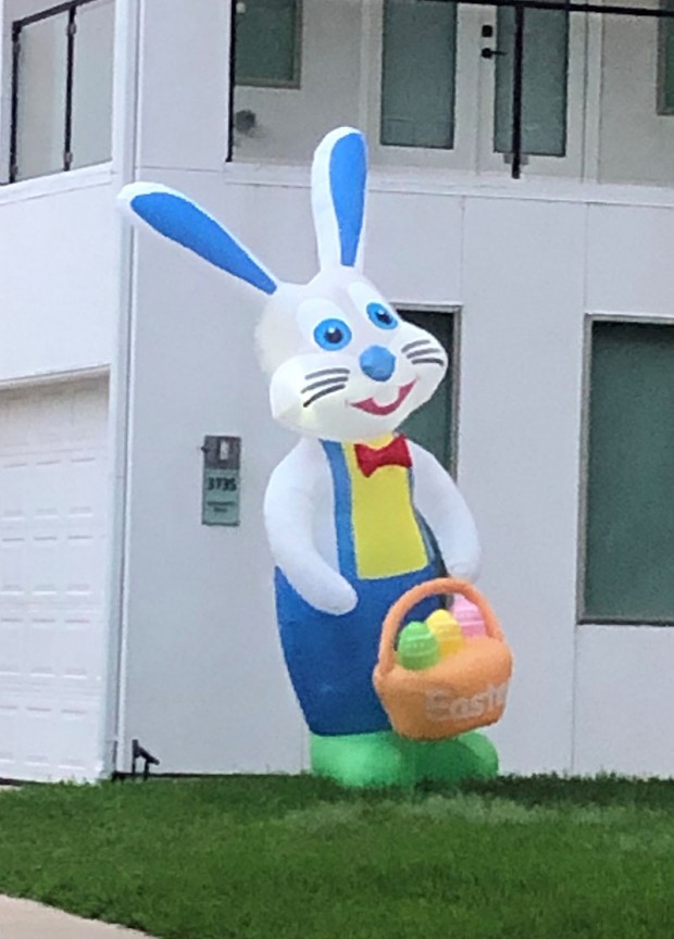 Giant bunny