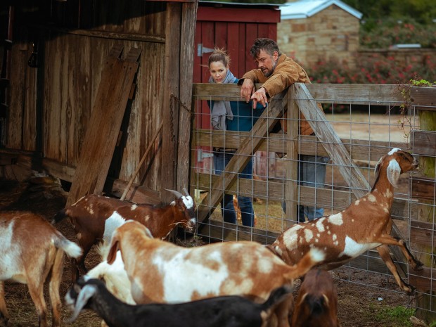 Goat farm