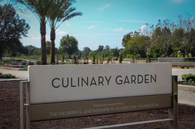 Culinary garden