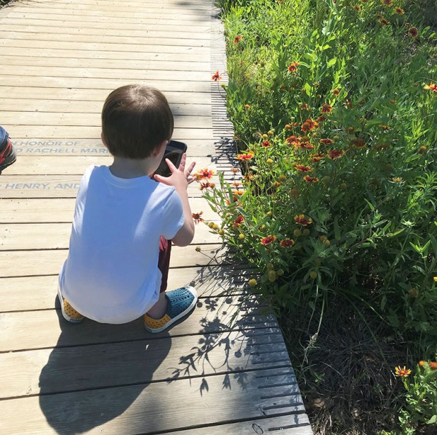 Arboretum Arboretum