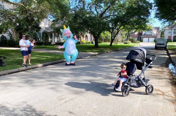 unicorn sightings unicorn sightings