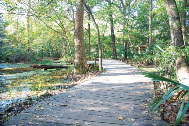 Edith L. Moore Nature Sanctuary Edith L. Moore Nature Sanctuary