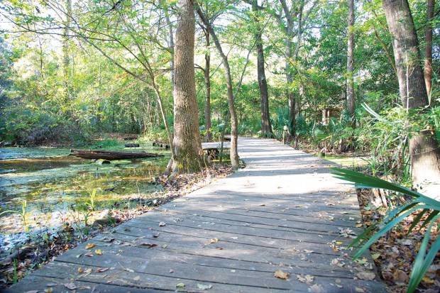 Edith L. Moore Nature Sanctuary