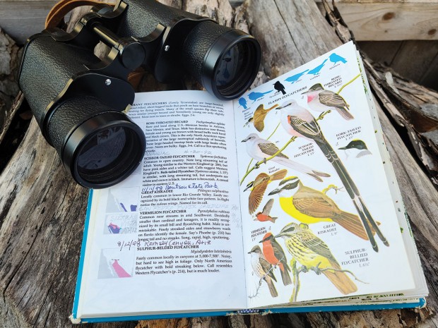 field guide field guide