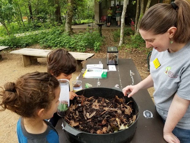 Houston Arboretum