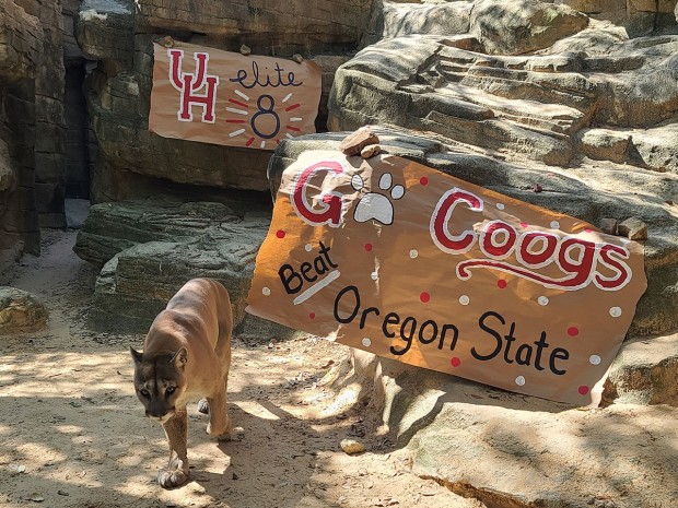 Shasta at Zoo