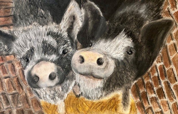 The Piglet Siblings