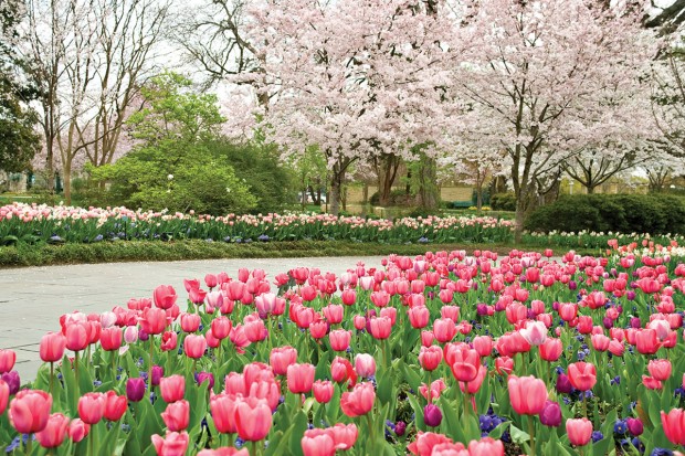 Dallas Arboretum