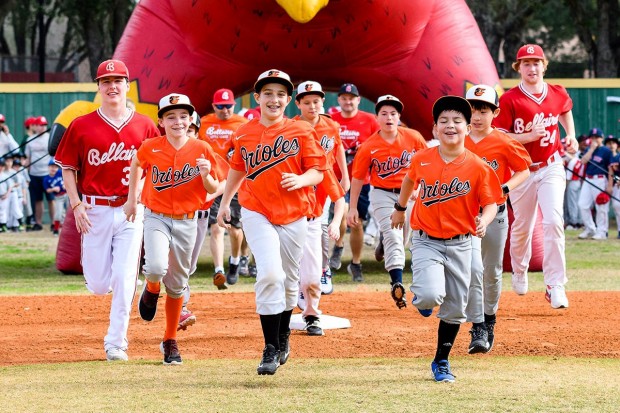 BLL American League Orioles