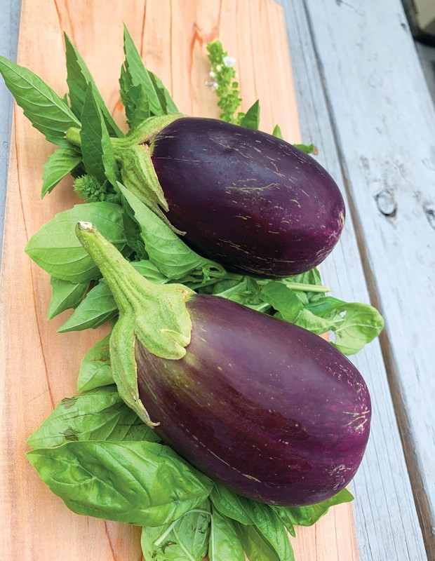 eggplants