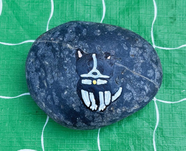Stormy the pet rock