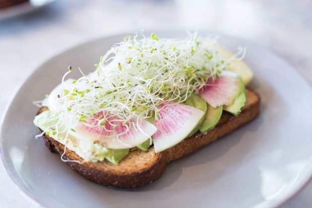 avocado toast