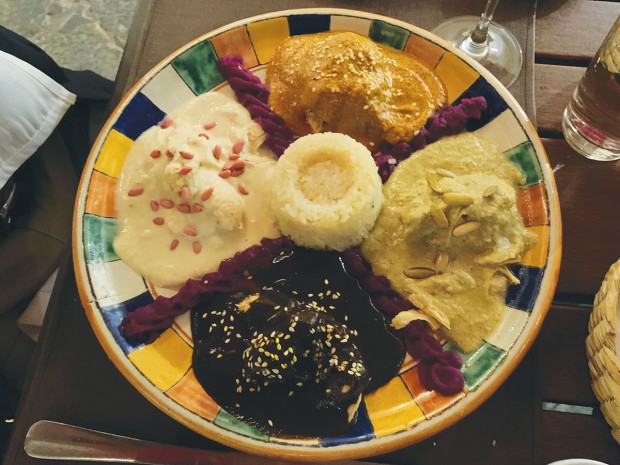 mole sampler plate