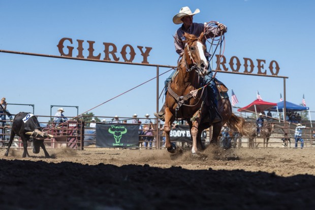 Grand Prize, Best Sign in Rodeo