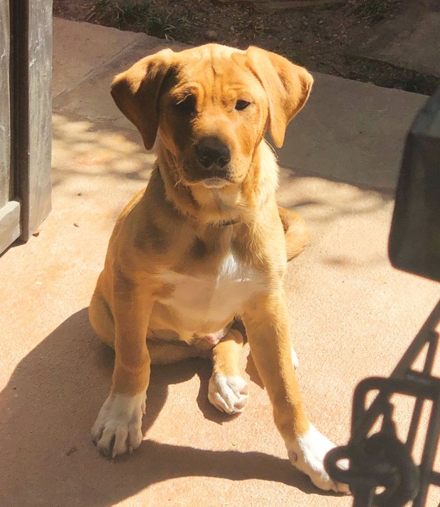 Lucy