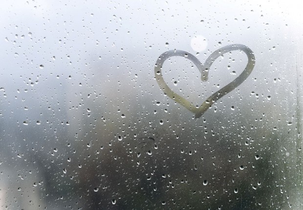 Heart after rain