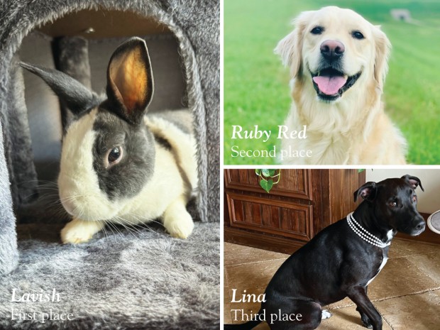2023 Buzz Pet of the Year winners