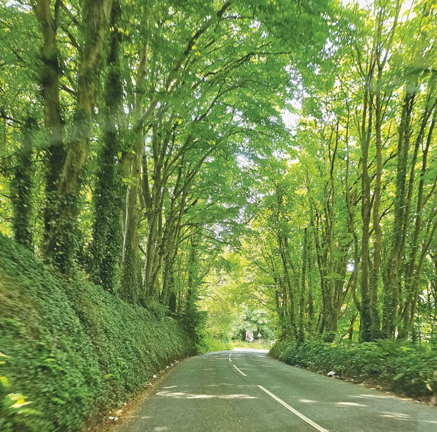 country roads