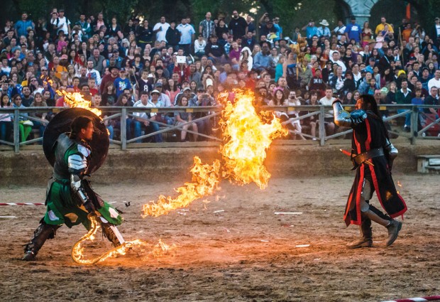 Ren Fest