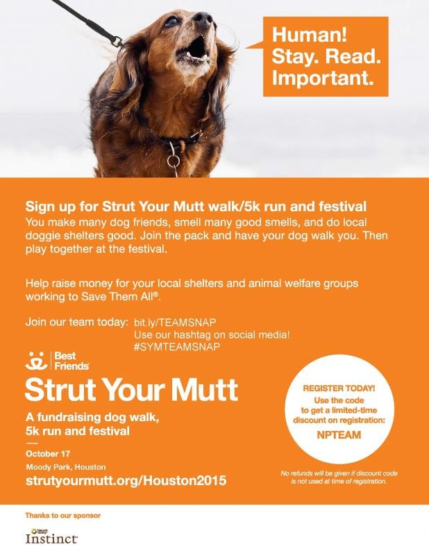 Strut your Mutt