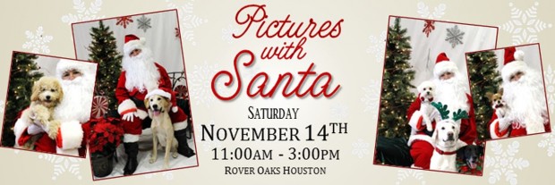 Doggie Pictures with Santa