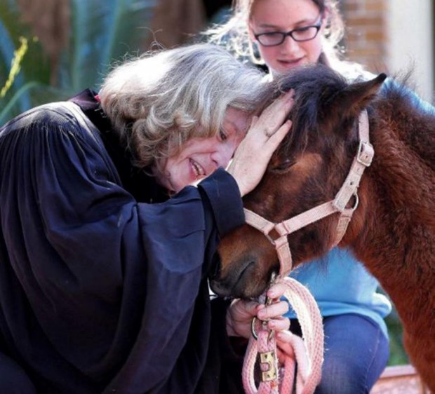 Blessing of the animals