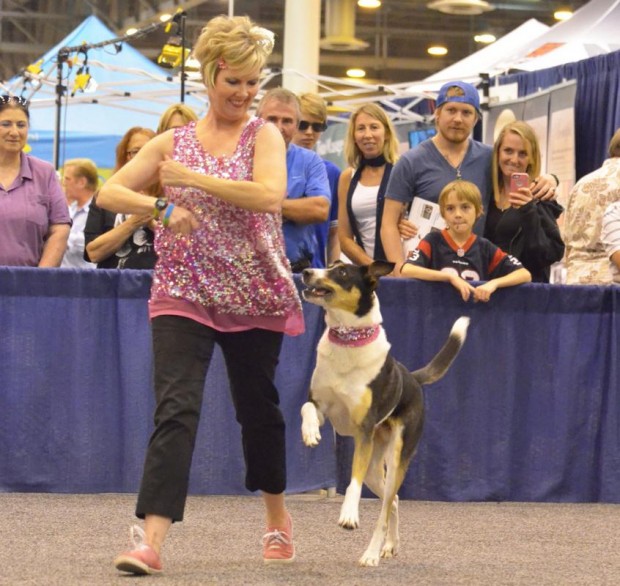 Dancing Dogs Show Kids How to Freestyle