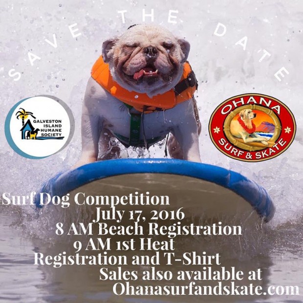 4th Annual Ohana Surf Dog Competition Benefitting The Galveston Island Humane Society