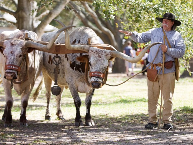 Texas Independence Day Celebration